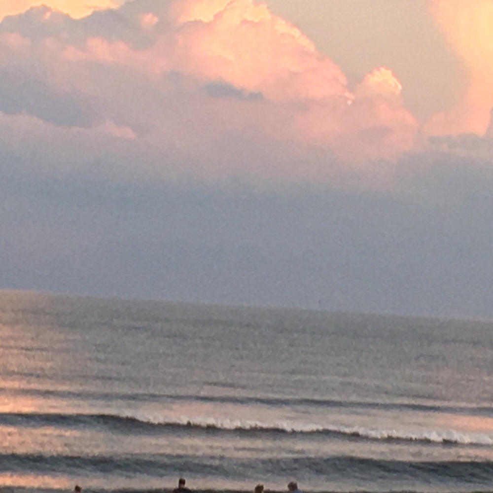 Meet your Posher, Kate